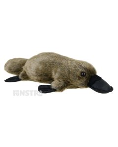 Aussie Bush Toys' plush toys are Australian made and this delightful Platypus is a soft and cuddly, beautifully crafted stuffed animal for anyone that loves the duck-billed platypus.