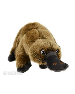 The Platypus deluxe plush toy is soft and cuddly, the perfect furry friend for children that love the duck-billed platypus and other animals of Australia.