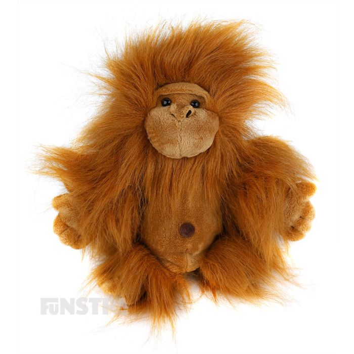 The orangutan hand puppet offers lots of fun and entertainment for children that love great apes as they tell stories and puppeteer these exotic animals from Borneo and Sumatra.