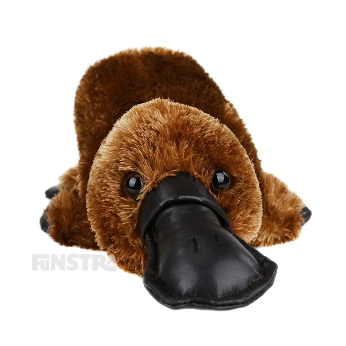 The Platypus silky plush toy is soft and cuddly, the perfect furry friend for children that love platypuses and other animals of Australia.