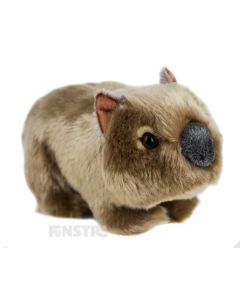 Lil Friends Wombat is a cute, soft and cuddly stuffed animal for kids that love the hairy-nosed wombats and animals of Australia. The Wombat plush toy is a fabulous little friend that can bring joy and happiness to children, made by Korimco.