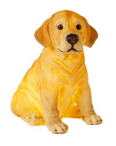 Labrador Dog Night Light