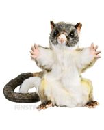 Hansa Creation Realistic Brushtail Possum Puppet